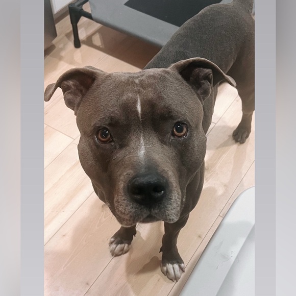 Katie’s Closet - Picture 2 of 4